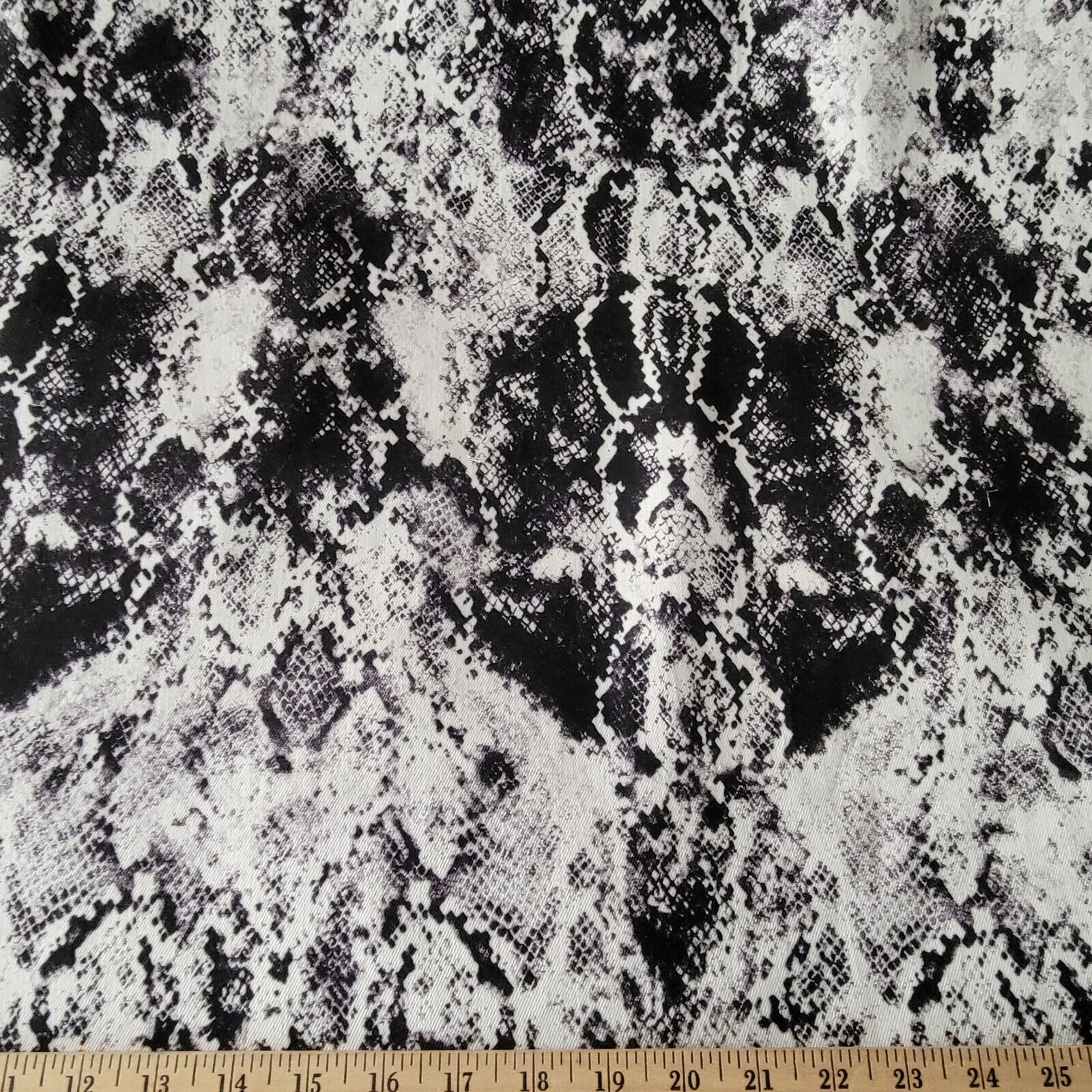 Black and White Snake Print