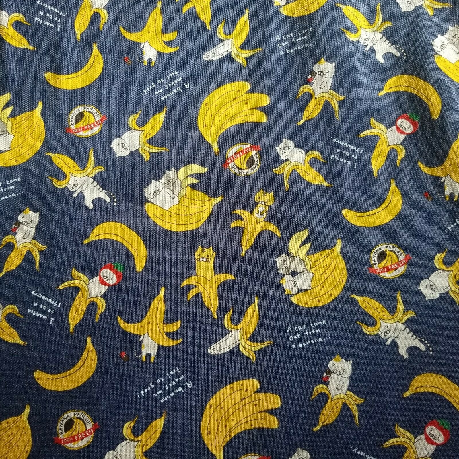 Navy Duck Cloth from Japan with Foreign International Stamps