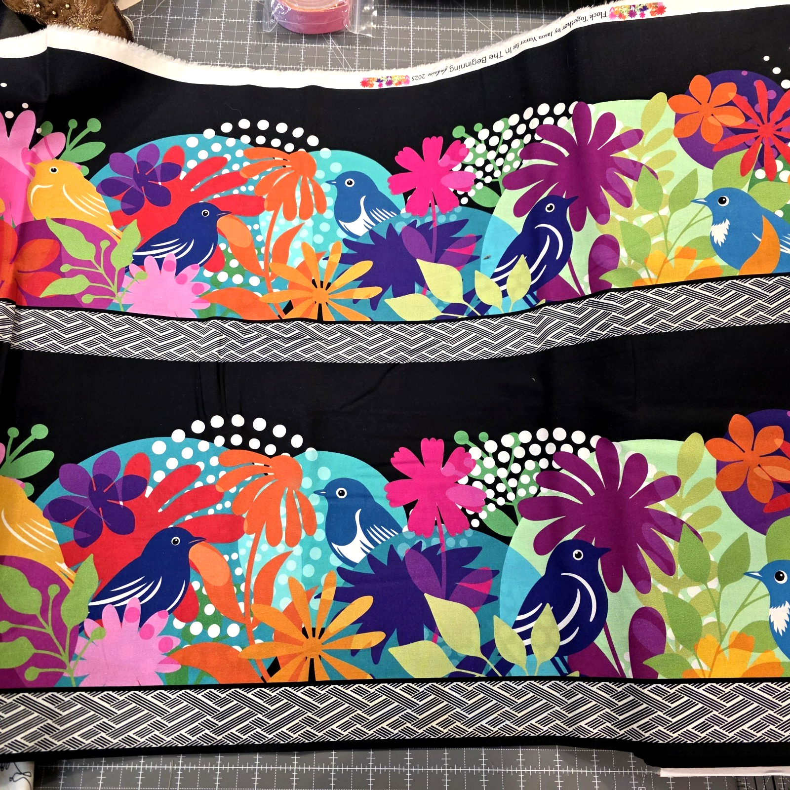 Colorful Papercut Birds/Flowers on Black Running Stripe Border by Jason Yenter