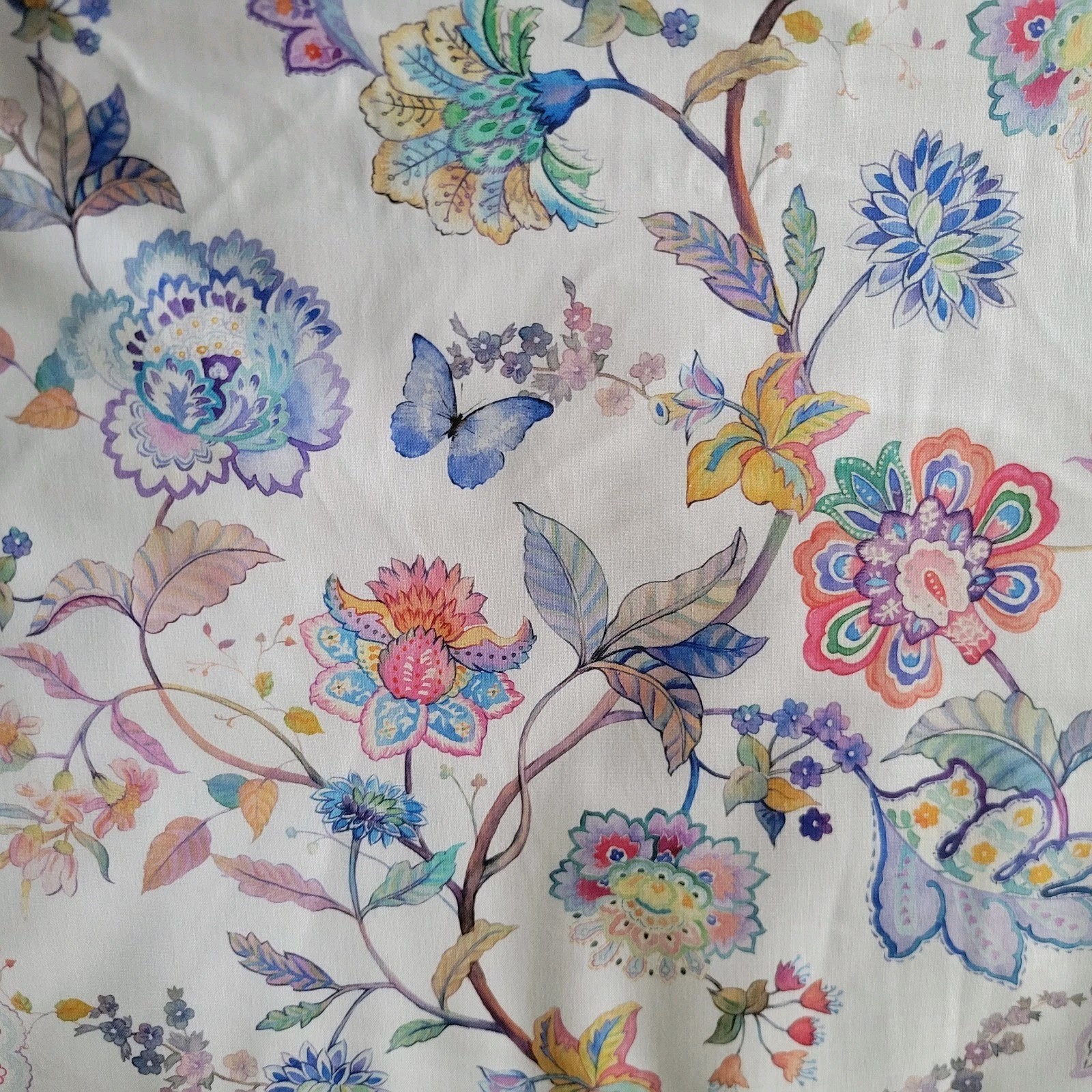 Multi Watercolor Floral Branches / Hummingbirds - Daydreams by Jason Yenter